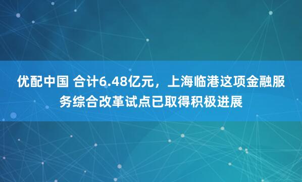优配中国 合计6.48亿元，上海临港这项金融服务综合改革试点已取得积极进展